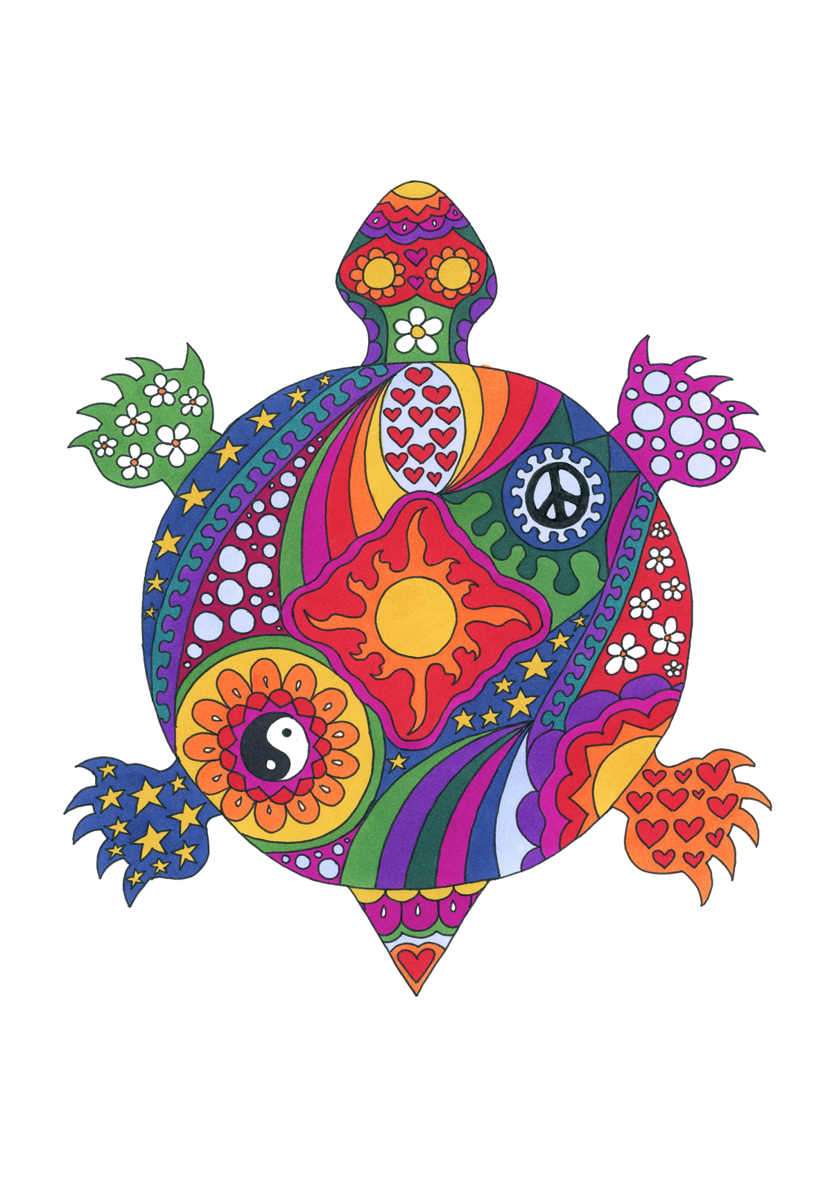 Turtle art print by Kellie Espie